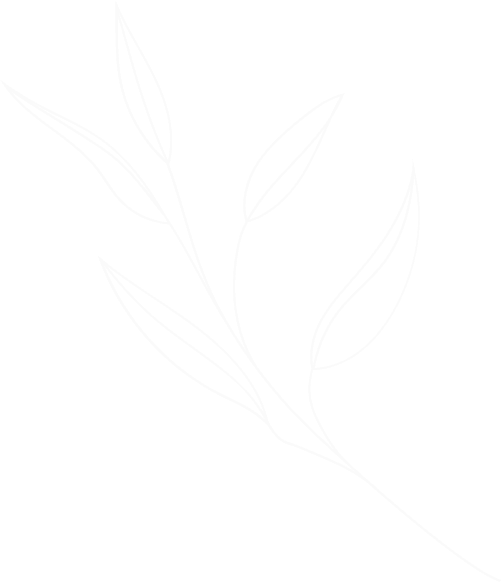 branch