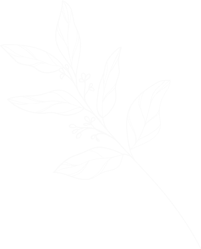 branch